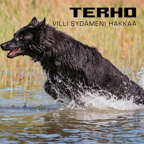 Terho-Villi-sydämeni-hakkaa-cover-final-500x500